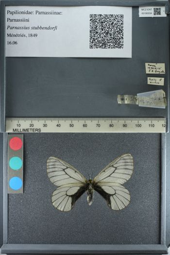 Media type: image;   Entomology 180034